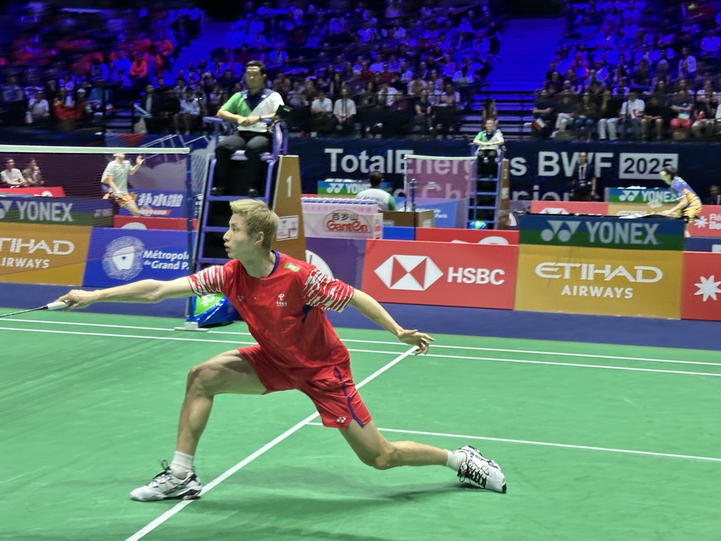 在世界羽毛 在世界羽毛