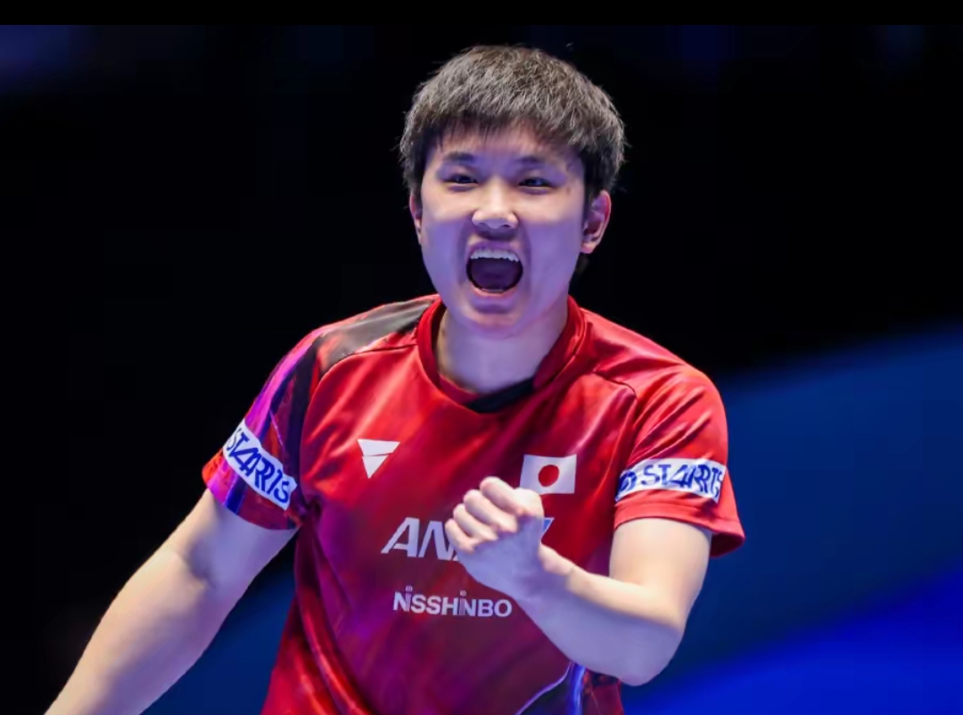 复机制是皇 复机制是皇