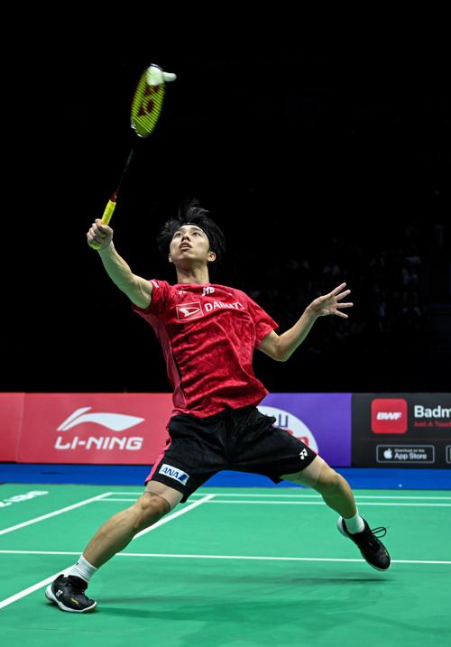 米伦科维奇 米伦科维奇