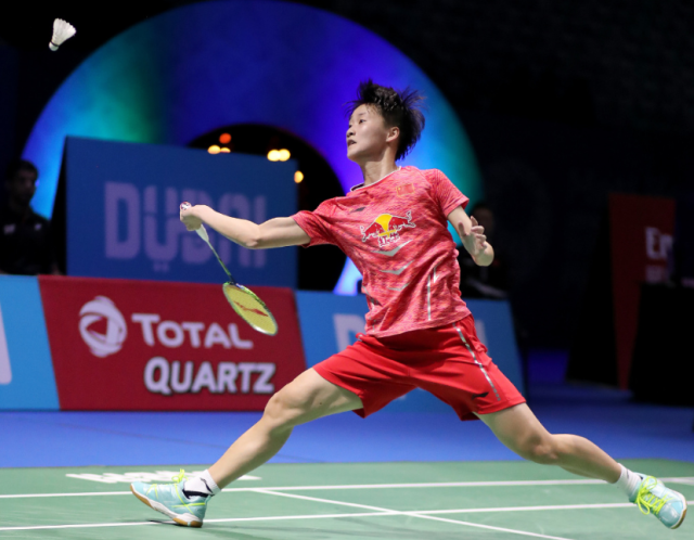 萨内的执行 萨内的执行